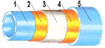 Structure.gif (6453 字节)